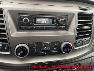 FORD Transit usata, con Bracciolo