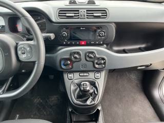 FIAT Panda usata 12