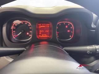 FIAT Panda usata 13