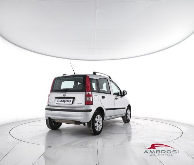 FIAT Panda usata 2
