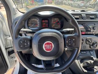 FIAT New Panda usata, con ESP