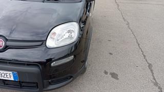 FIAT Panda usata, con USB