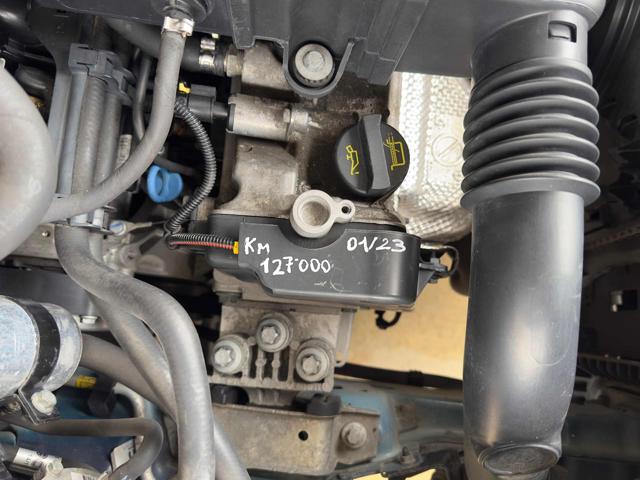 FIAT Punto usata 52