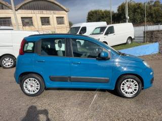 FIAT Panda usata 2