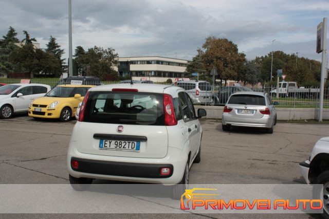 FIAT New Panda usata 14