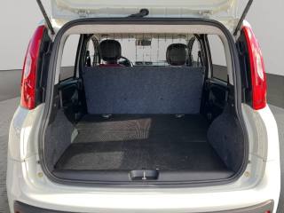 FIAT Panda usata 13