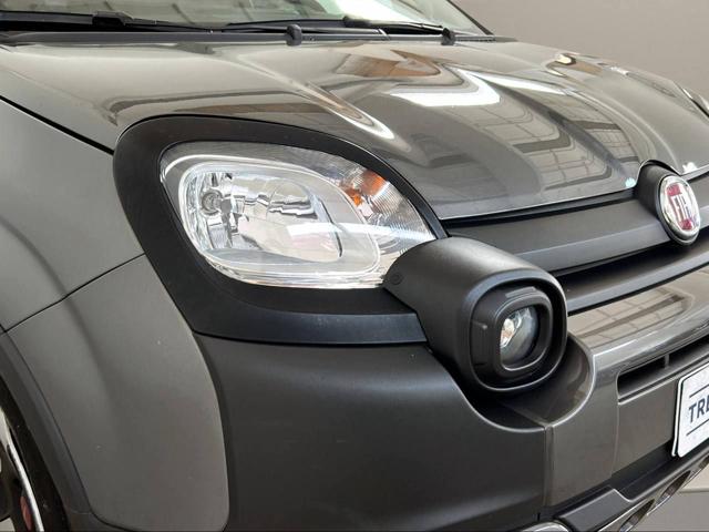 FIAT Panda Cross usata, con Vivavoce