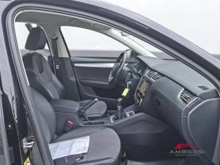 SKODA Octavia usata 11