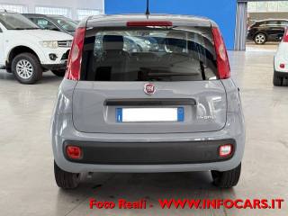 FIAT Panda usata 14