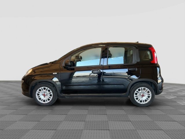 FIAT Panda usata 1