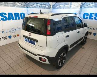 FIAT New Panda usata, con Alzacristalli elettrici