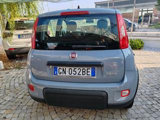 FIAT Panda usata, con Airbag Passeggero