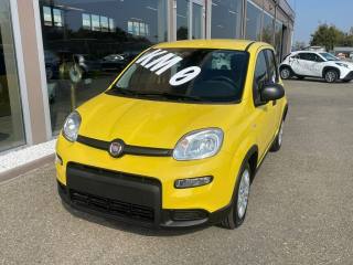 FIAT Panda usata, con Antifurto