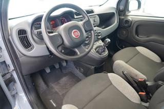 FIAT Panda usata, con Servosterzo