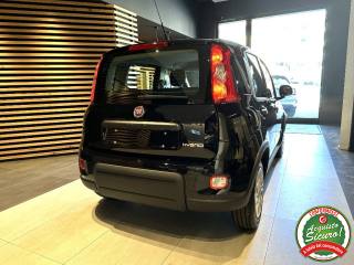 FIAT Panda usata, con Bluetooth