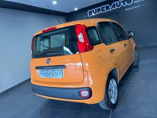 FIAT Panda usata, con Antifurto