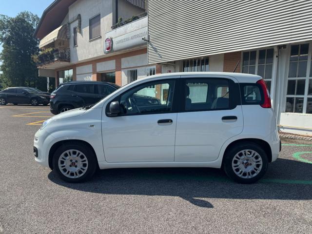 FIAT Panda usata, con Airbag Passeggero