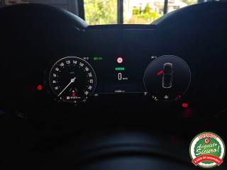 ALFA ROMEO Tonale usata, con Park Distance Control