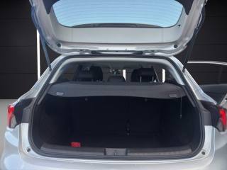 FIAT Tipo usata, con Bracciolo