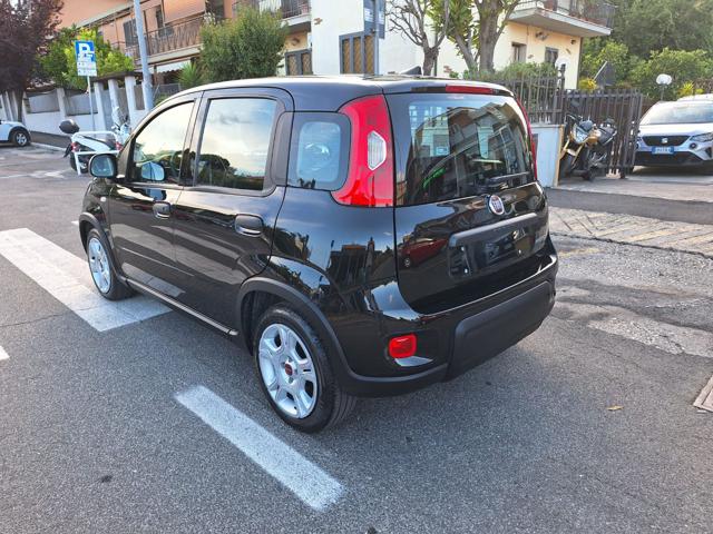 FIAT Panda usata, con Airbag Passeggero