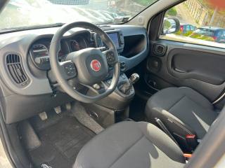 FIAT Panda usata, con Sensori di parcheggio posteriori
