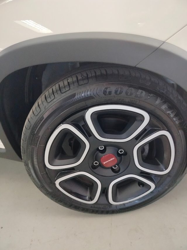 FIAT Panda usata 19
