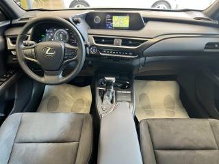LEXUS UX 250h usata, con Climatizzatore
