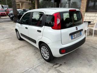 FIAT Panda usata, con Controllo trazione