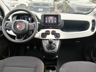 FIAT Panda usata, con Cruise Control