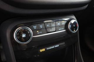 FORD Puma usata 11