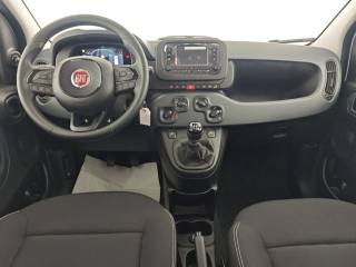 FIAT Panda usata, con Controllo elettronico della corsia