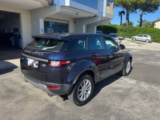 LAND ROVER Range Rover Evoque usata, con Airbag Passeggero