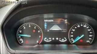 FORD EcoSport usata, con Fendinebbia