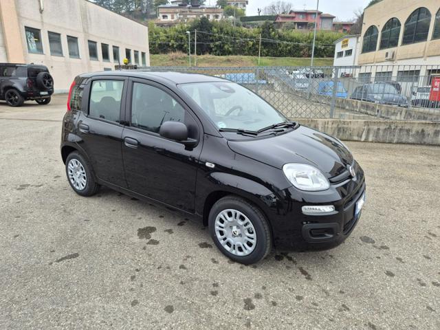 FIAT Panda usata, con Alzacristalli elettrici