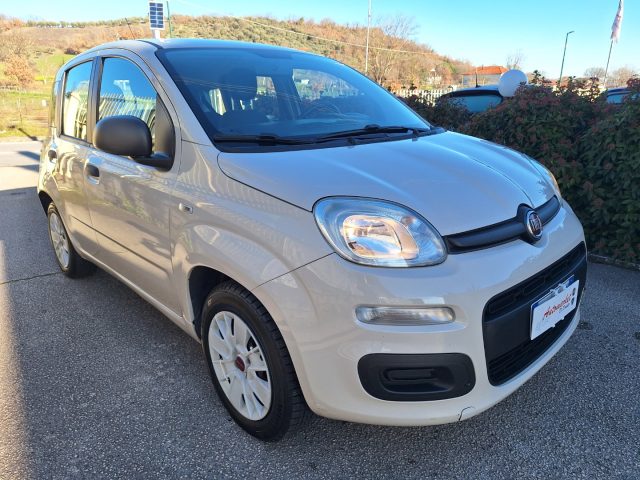 FIAT Panda usata 12