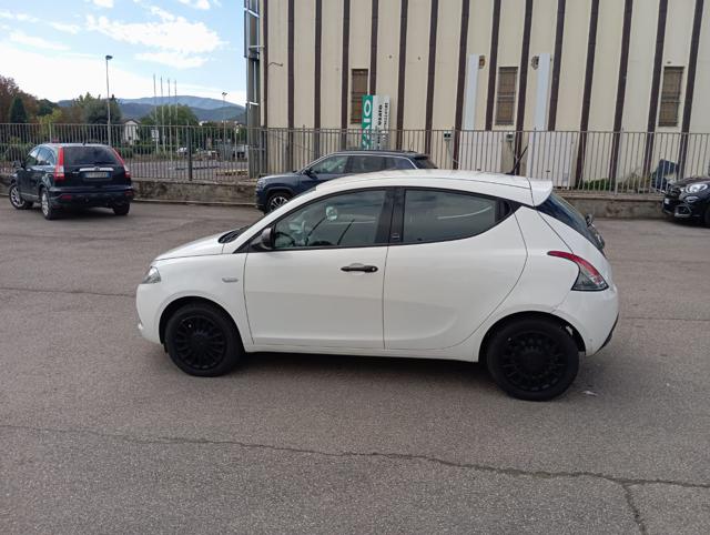 LANCIA Ypsilon usata 19