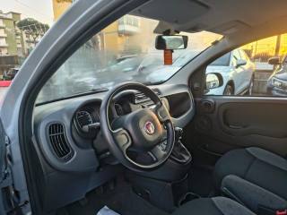 FIAT Panda usata, con Controllo trazione