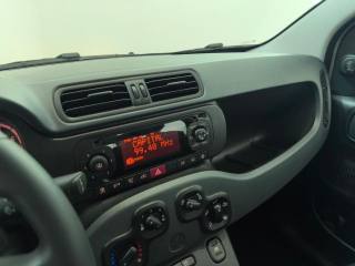 FIAT Panda usata, con Fendinebbia