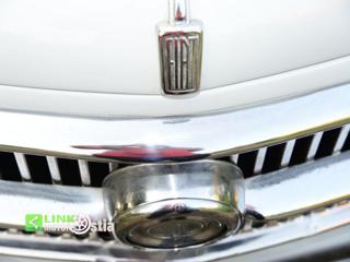 FIAT 1100 usata 18
