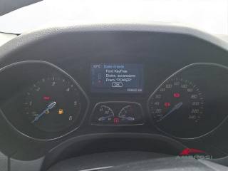 FORD Focus usata 12