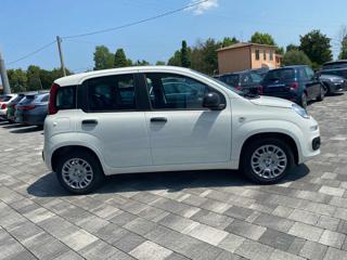 FIAT Panda usata, con Antifurto