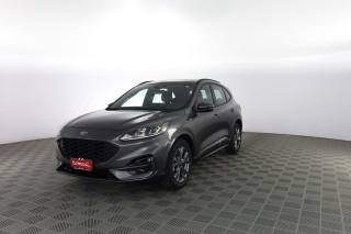 FORD Kuga Kuga 1.5 EcoBlue 120 CV aut. 2WD ST-Line