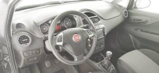 FIAT Punto usata 54