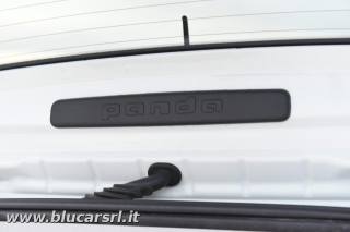 FIAT Panda usata 25
