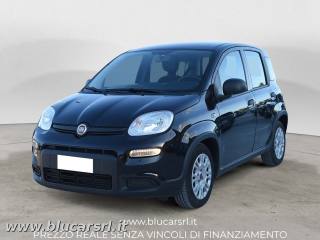 FIAT Panda 1.0 FireFly 70CV S&S Hybrid