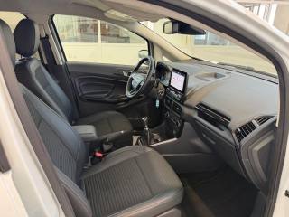 FORD EcoSport usata 23