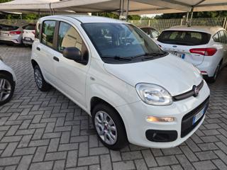 FIAT Panda usata, con Cerchi in lega