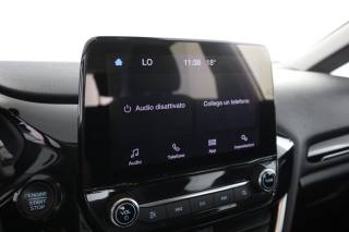 FORD Fiesta usata 14