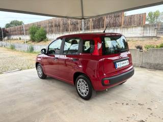 FIAT Panda usata, con Autoradio
