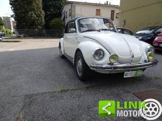 VOLKSWAGEN Maggiolone usata 24